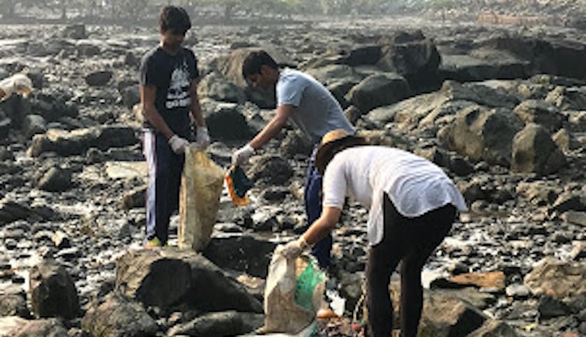 mangrove-cleanup-2019-00004